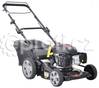 PLAY CUT LT 46
